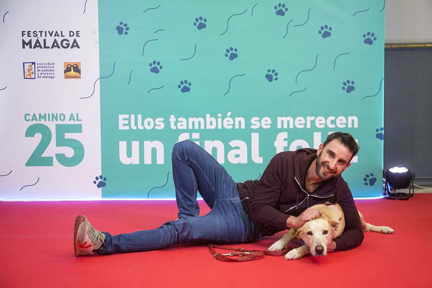 El Festival de Málaga fomenta la adopción de perros y gatos en una campaña con la Protectora de Animales y la Fundación Ochotumbao