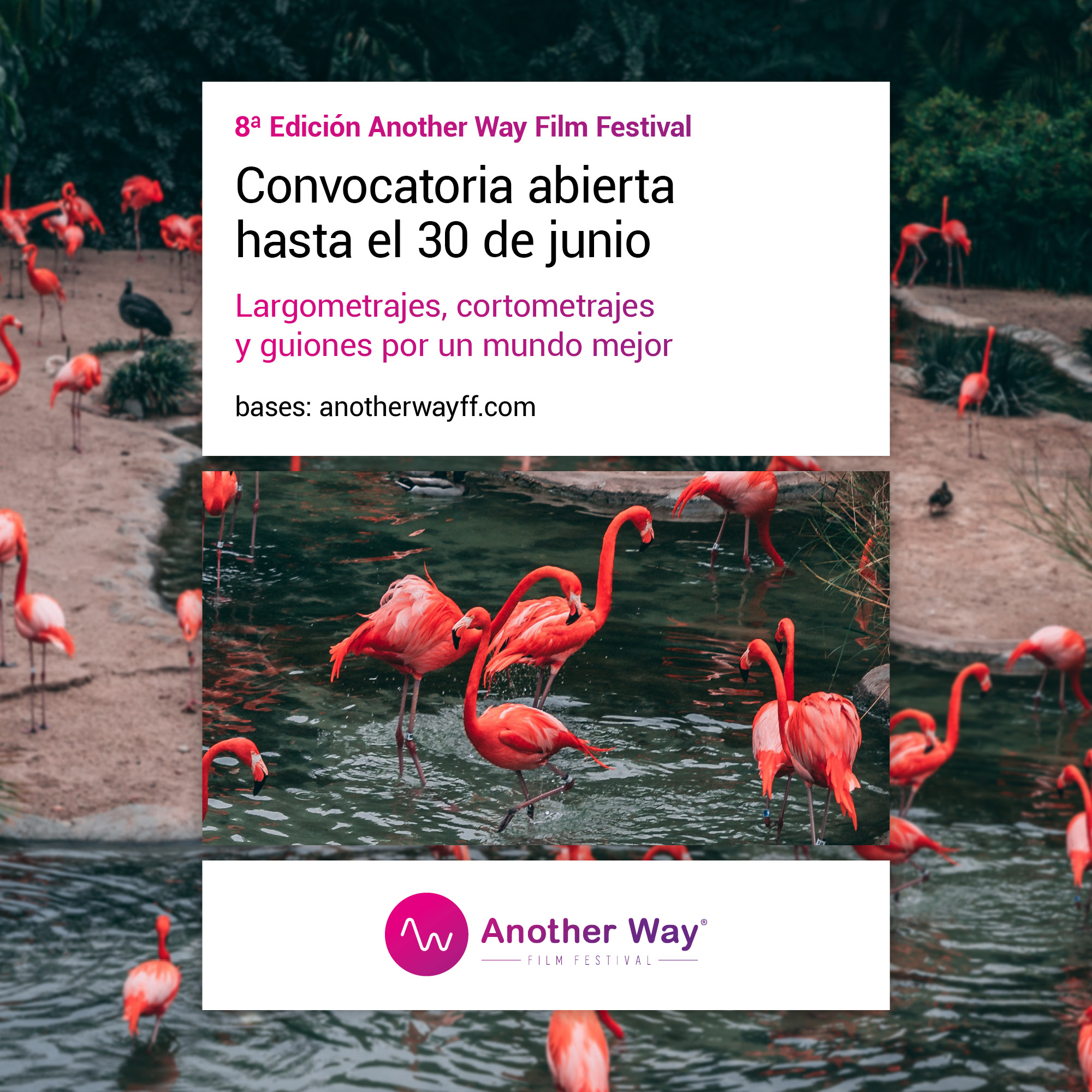 Another Way Film Festival abre las convocatorias de largometrajes, cortometrajes y guiones de su octava edición