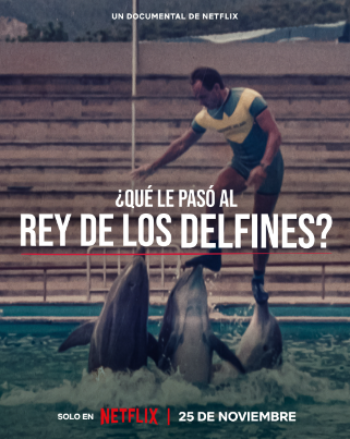 Descubre '¿Qué le pasó al rey de los delfines' en su tráiler de lanzamiento