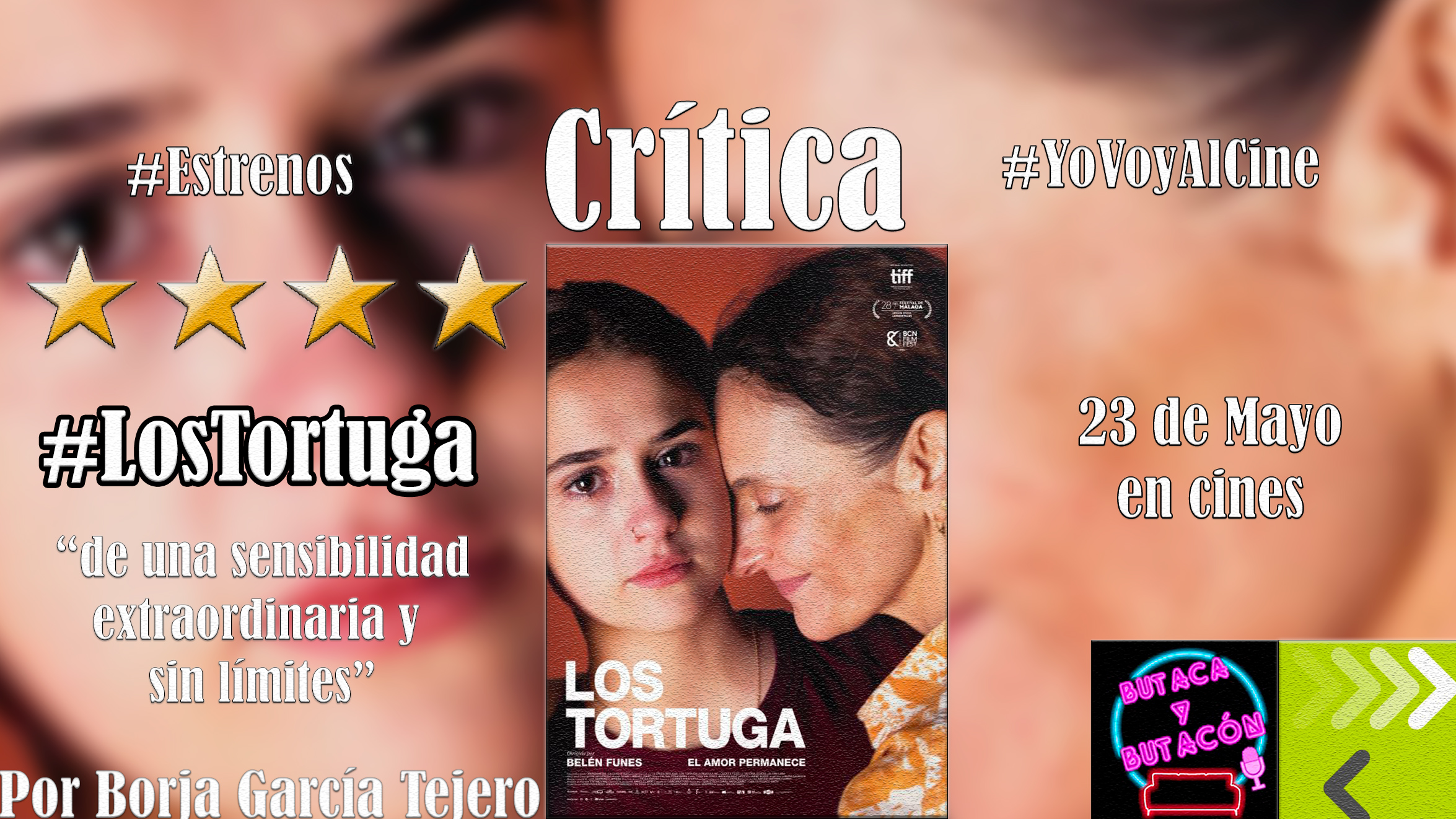 'Los Tortuga': caparazones en busca de luz